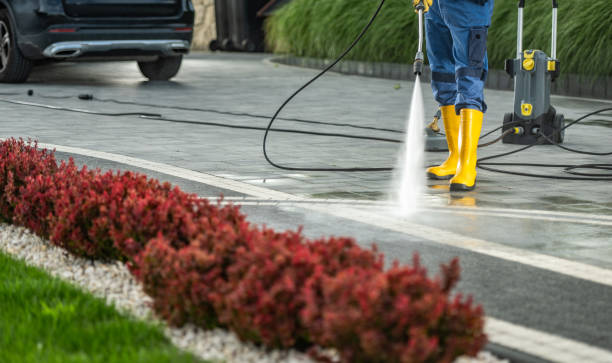 Best Pressure Washing Patio  in USA